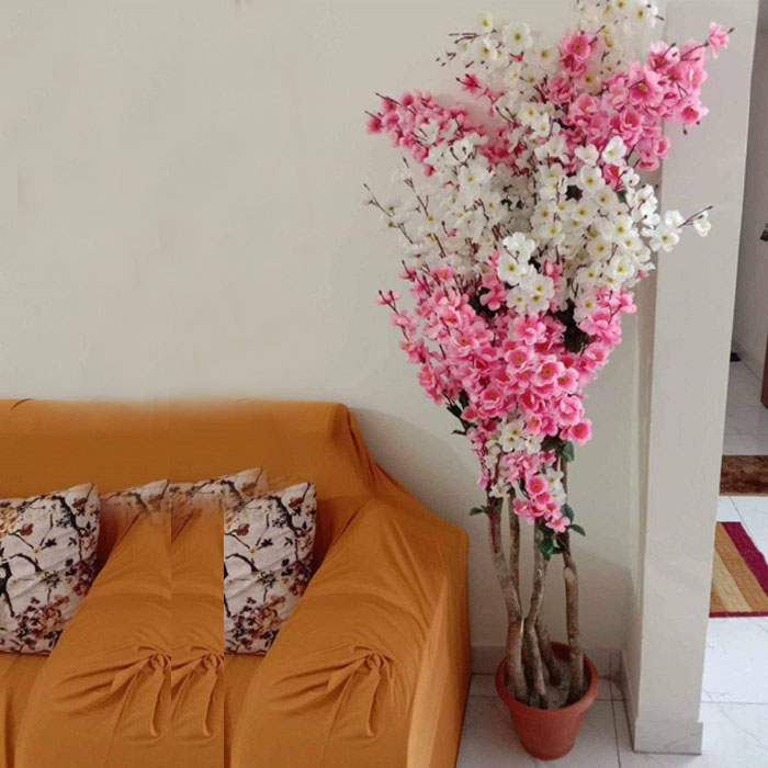 Chary Flower Pink ,white