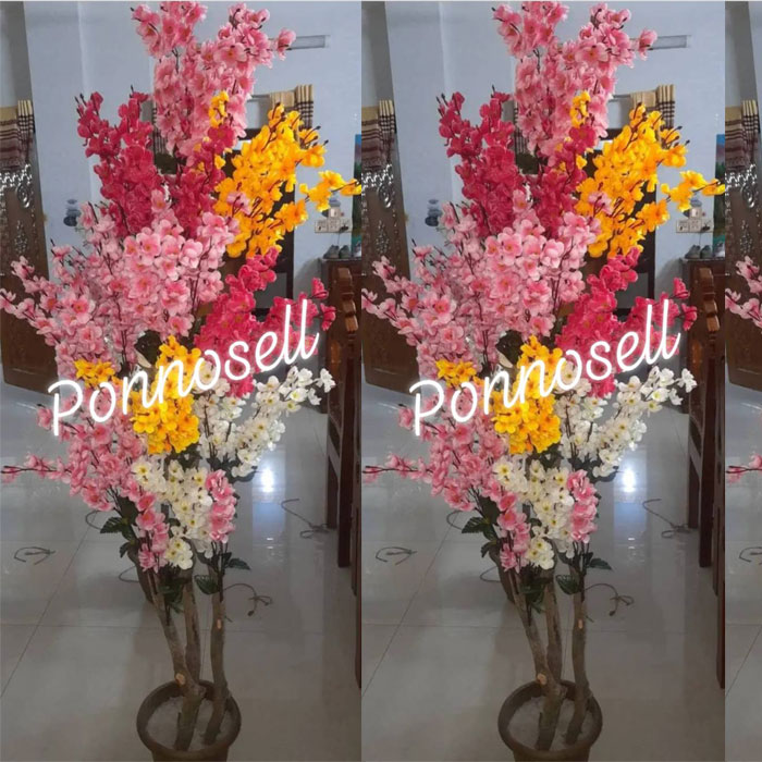 Chary Flower